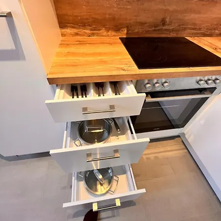 Modern Near Wildlife Park And