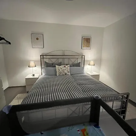 Modern Near Wildlife Park And